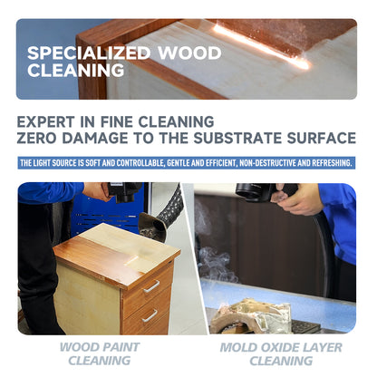 Trolleycase Laser Cleaning Machine Wood and Mold Cleaning